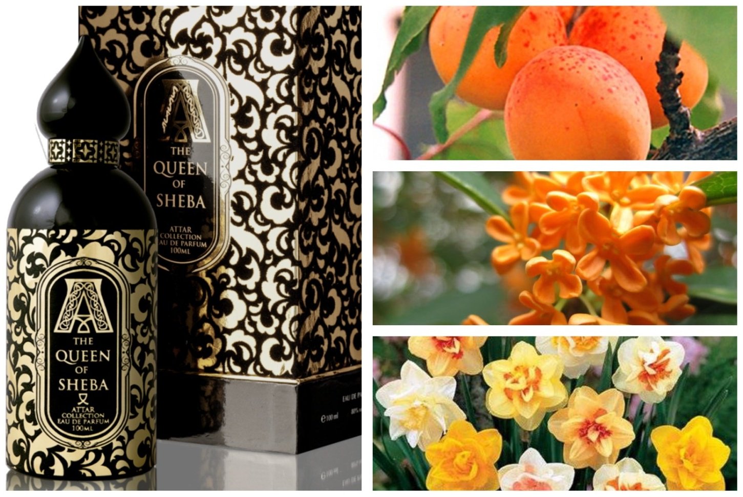 Attar Collection The Queen Of Sheba парфюмерная вода EDP 100 мл, унисекс - ForteMarket Attar Collection The Queen Of Sheba парфюмерная вода EDP 100 мл, унисекс купить,40090