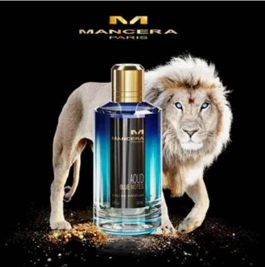 MANCERA Aoud Blue Notes парфюмерная вода EDP 120 мл, унисекс купить,122090