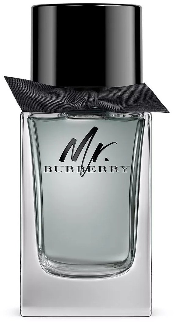 Burberry Mr. Burberry туалетная вода EDT 100 мл, для мужчин купить,30190