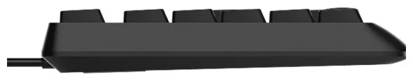 Клавиатура Rapoo NK1900 Black купить,0