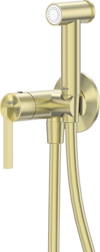 Abber гигиенический душ AF8A25BG купить,210100