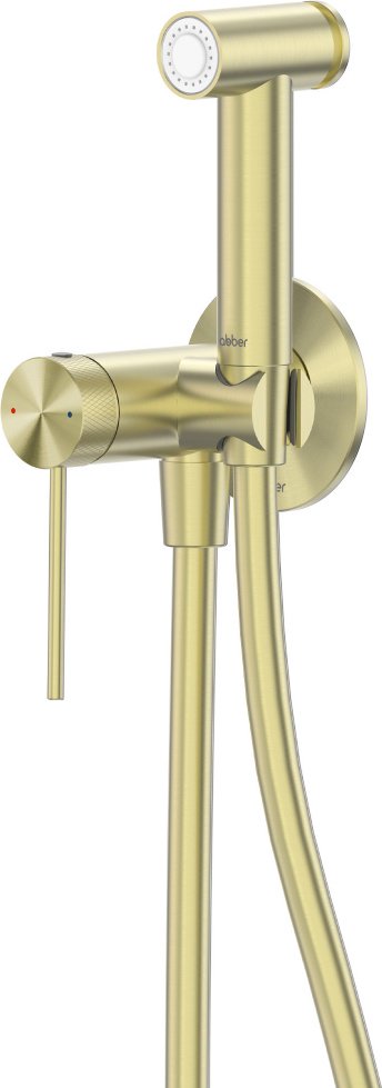 Abber гигиенический душ AF8825BG купить,210100