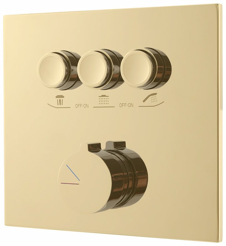 Душевой набор (гарнитур) VSFW-4311RBG