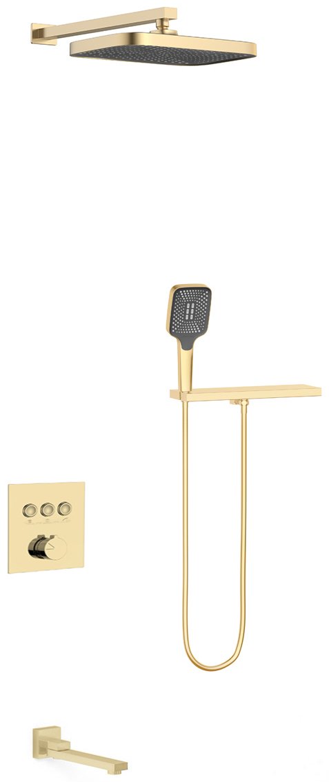 Душевой набор (гарнитур) VSFW-4311RBG