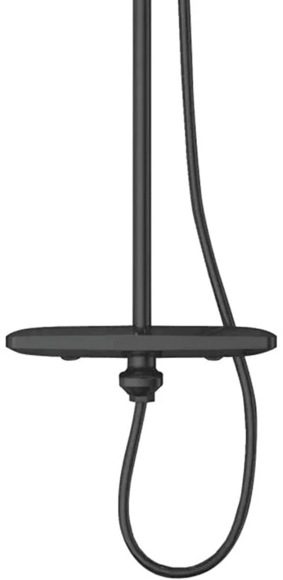 Rose душевой набор (гарнитур) R3996T купить,NaN
