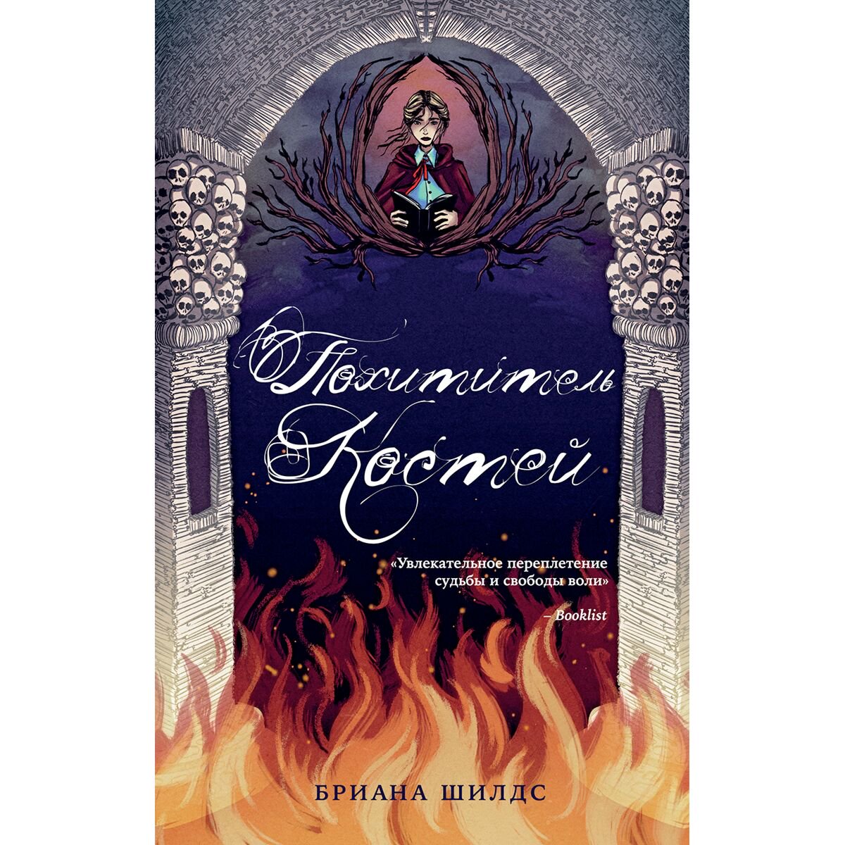Young adult Шилдс Б. Похититель костей купить,NaN
