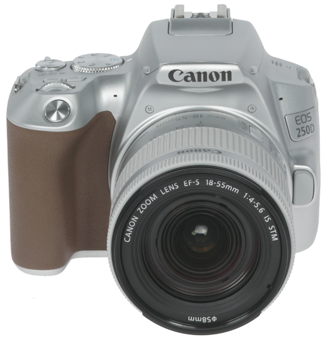 Зеркальная фотокамера Canon EOS 250D EF-S 18-5mm5 IS STM Kit Серебристый купить,NaN