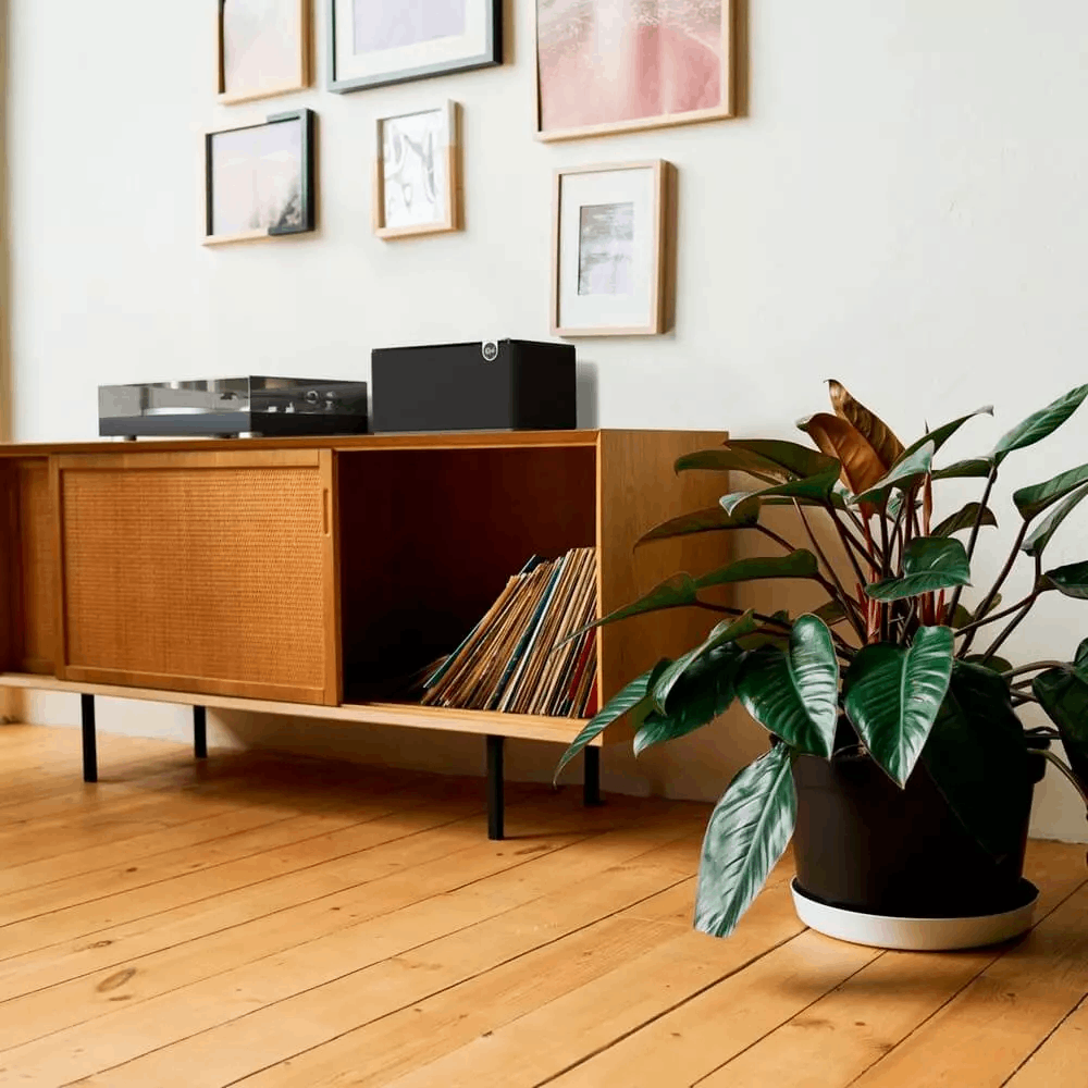 Акустическая система Klipsch The Three Plus Walnut купить,199990