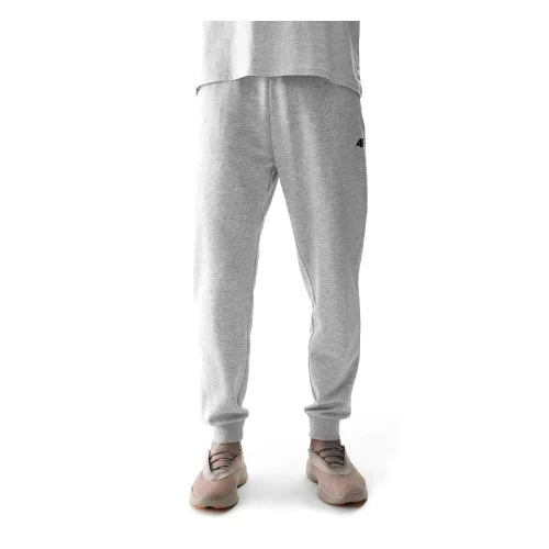 Брюки мужские 4F Sportstyle 4FWSS24TTROM603-27M серые L