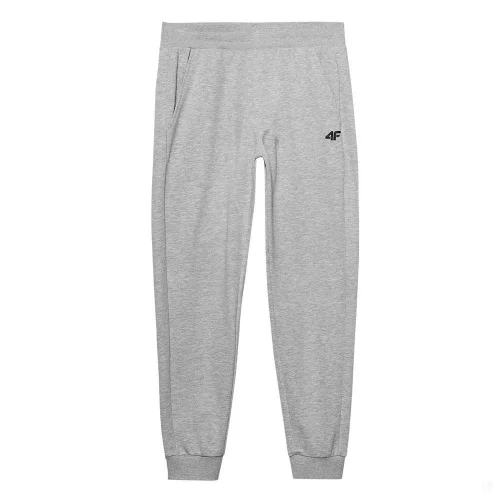 Брюки мужские 4F Sportstyle 4FWMM00TTROM0943-27M серые M купить,NaN
