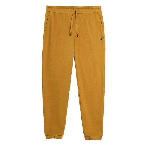 Брюки мужские 4F Sportstyle Core Plus золотистые M