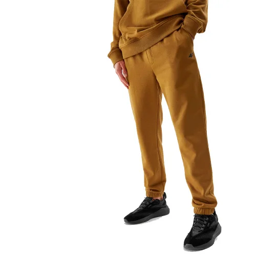 Брюки мужские 4F Sportstyle Core Plus золотистые M