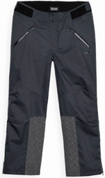 Брюки горнолыжные 4F Ski Performance 4FAW23TFTRM342-21S черные L 46-48