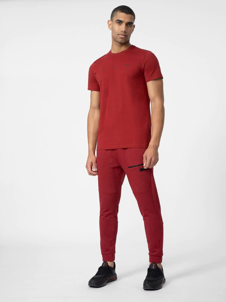 Брюки мужские 4F Sportstyle бордовый XL 52 купить,NaN