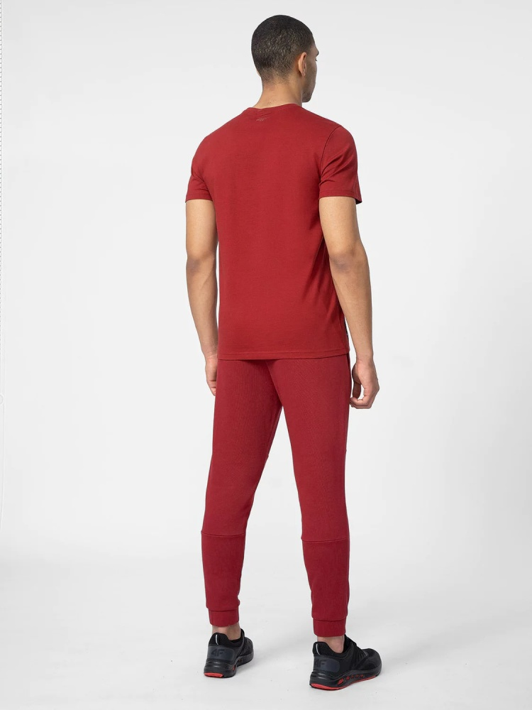 Брюки мужские 4F Sportstyle бордовый XL 52 купить,NaN