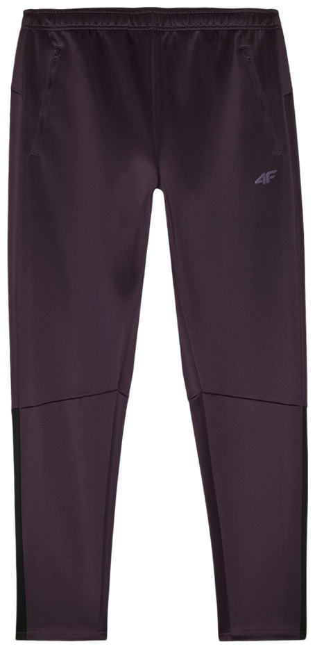 Брюки мужские 4F Training 4FWAW24TFTRM683-50S фиолетовый M 48