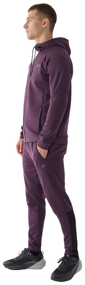 Брюки мужские 4F Training 4FWAW24TFTRM683-50S фиолетовый M 48 купить,function inputValueFn(){if((0,signal2.mK)(node),node.value===REQUIRED_UNSET_VALUE)throw new root_effect_scheduler.buA(-950,null);return node.value}