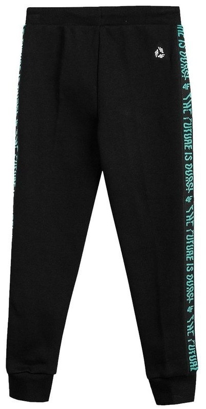 Брюки детские 4F HJL21-JSPMD002-21S черные 128 купить,NaN