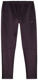 Брюки мужские 4F Training 4FWAW24TFTRM683-50S фиолетовый M 48