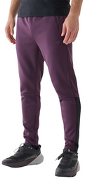 Брюки мужские 4F Training 4FWAW24TFTRM683-50S фиолетовый M 48