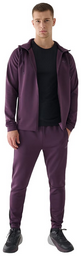 Брюки мужские 4F Training 4FWAW24TFTRM683-50S фиолетовый M 48