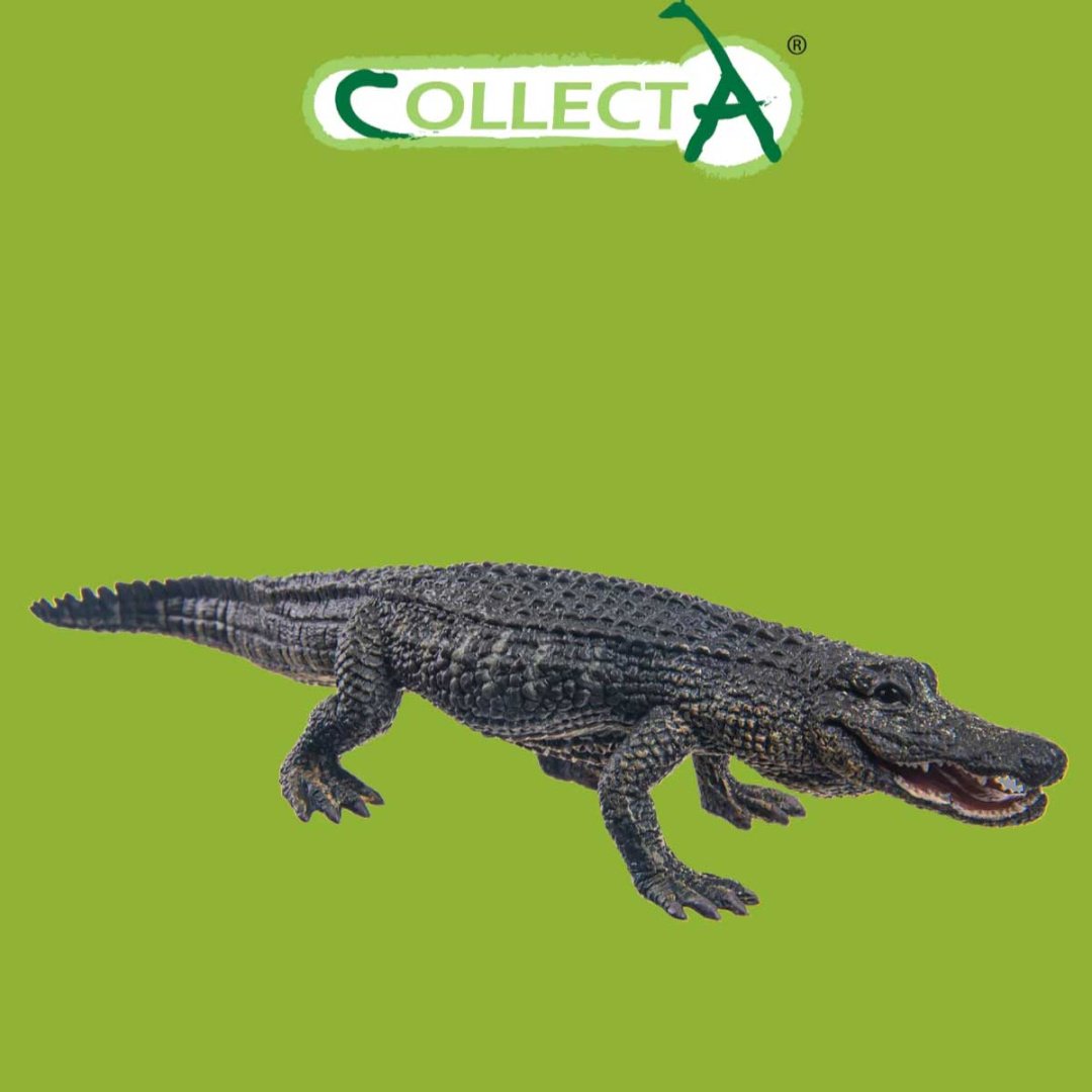 Collecta Американский аллигатор 17.6 см 1 шт купить,NaN