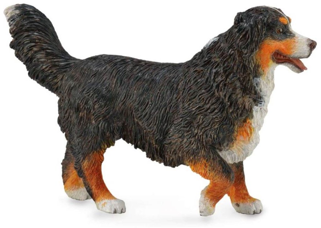 Collecta Бернский зенненхунд 6.7 см 1 шт купить,NaN