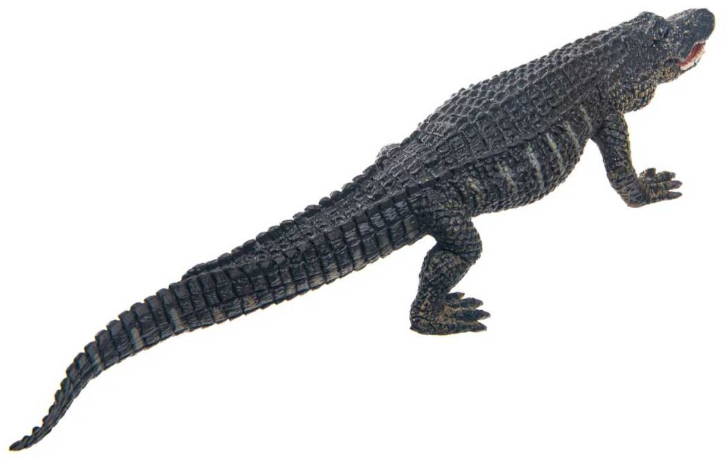 Collecta Американский аллигатор 17.6 см 1 шт купить,NaN