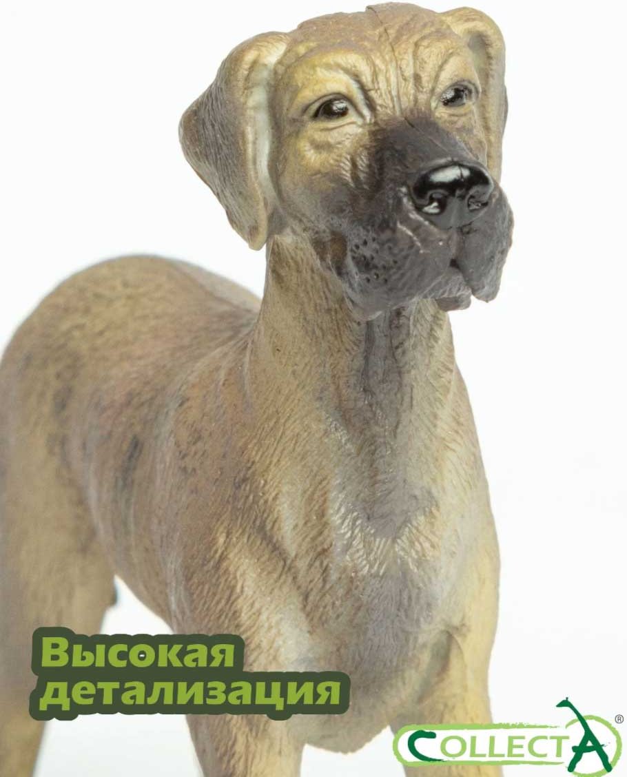 Collecta дог 8.5 см 1 шт купить,NaN