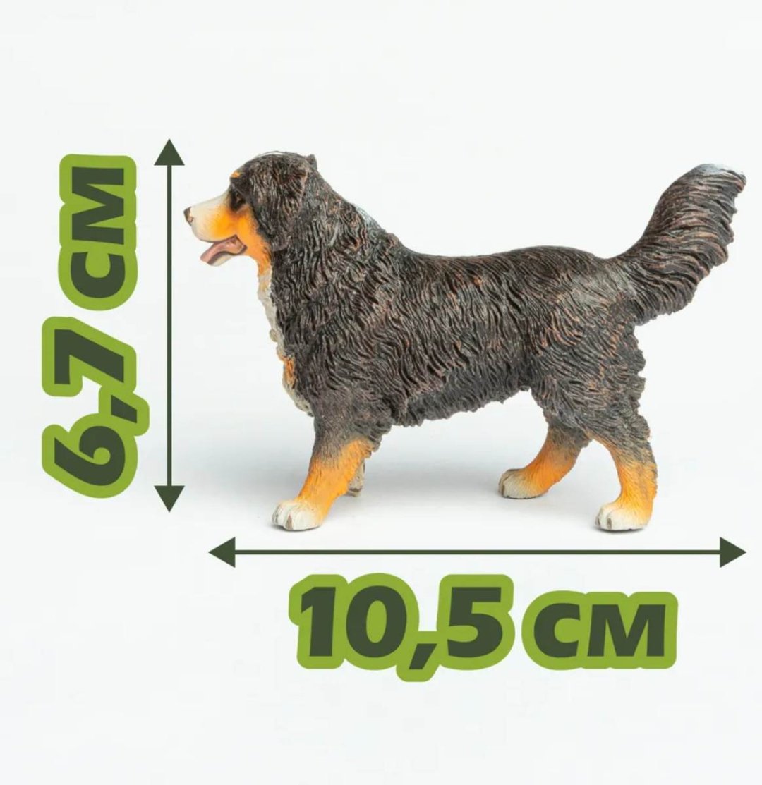 Collecta Бернский зенненхунд 6.7 см 1 шт купить,NaN