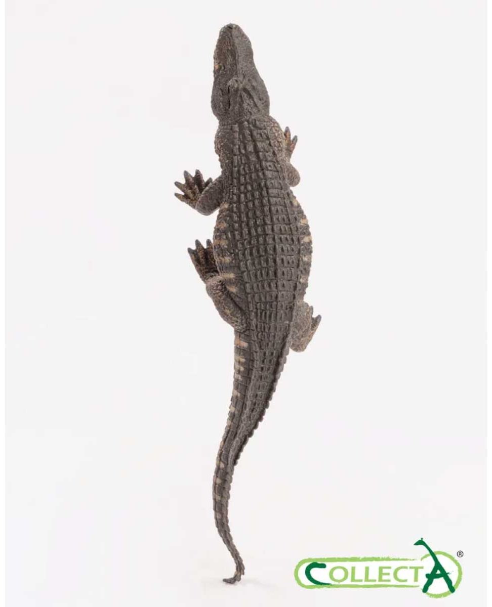 Collecta Американский аллигатор 17.6 см 1 шт купить,NaN