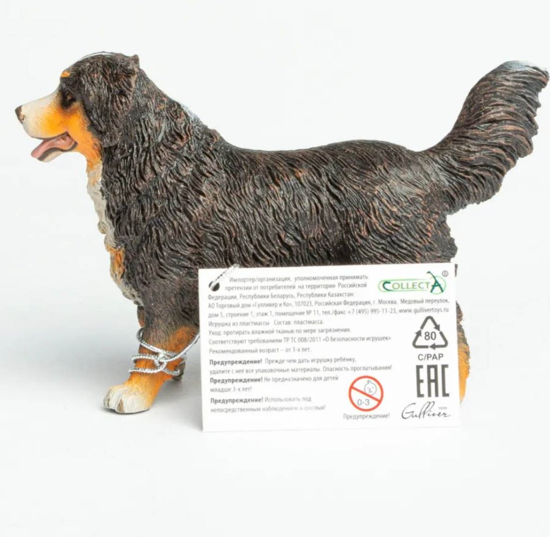 Collecta Бернский зенненхунд 6.7 см 1 шт купить,NaN
