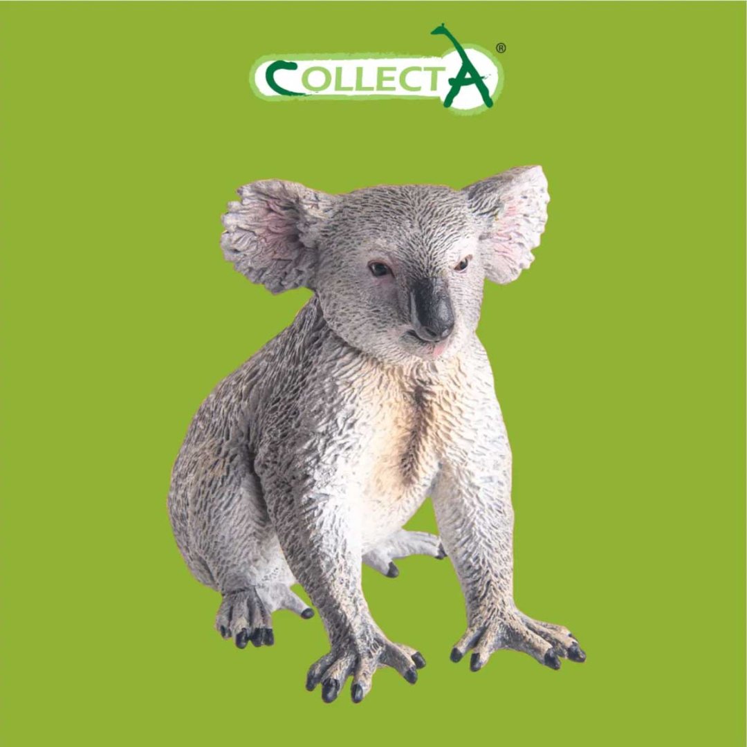 Collecta Коала 6 см 1 шт купить,NaN