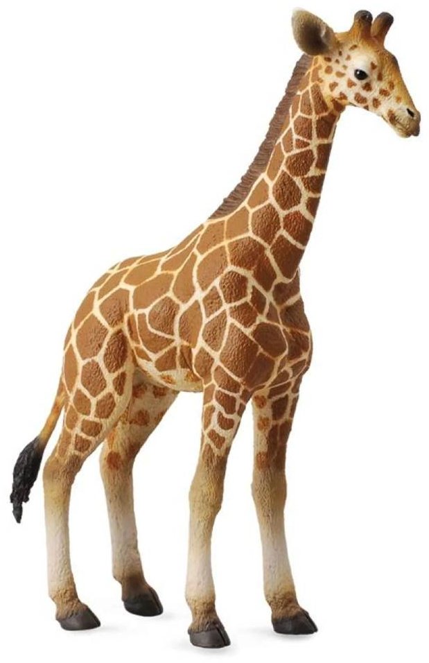 Collecta Жеребенок Сетчатого Жирафа 12.5 см 1 шт купить,NaN