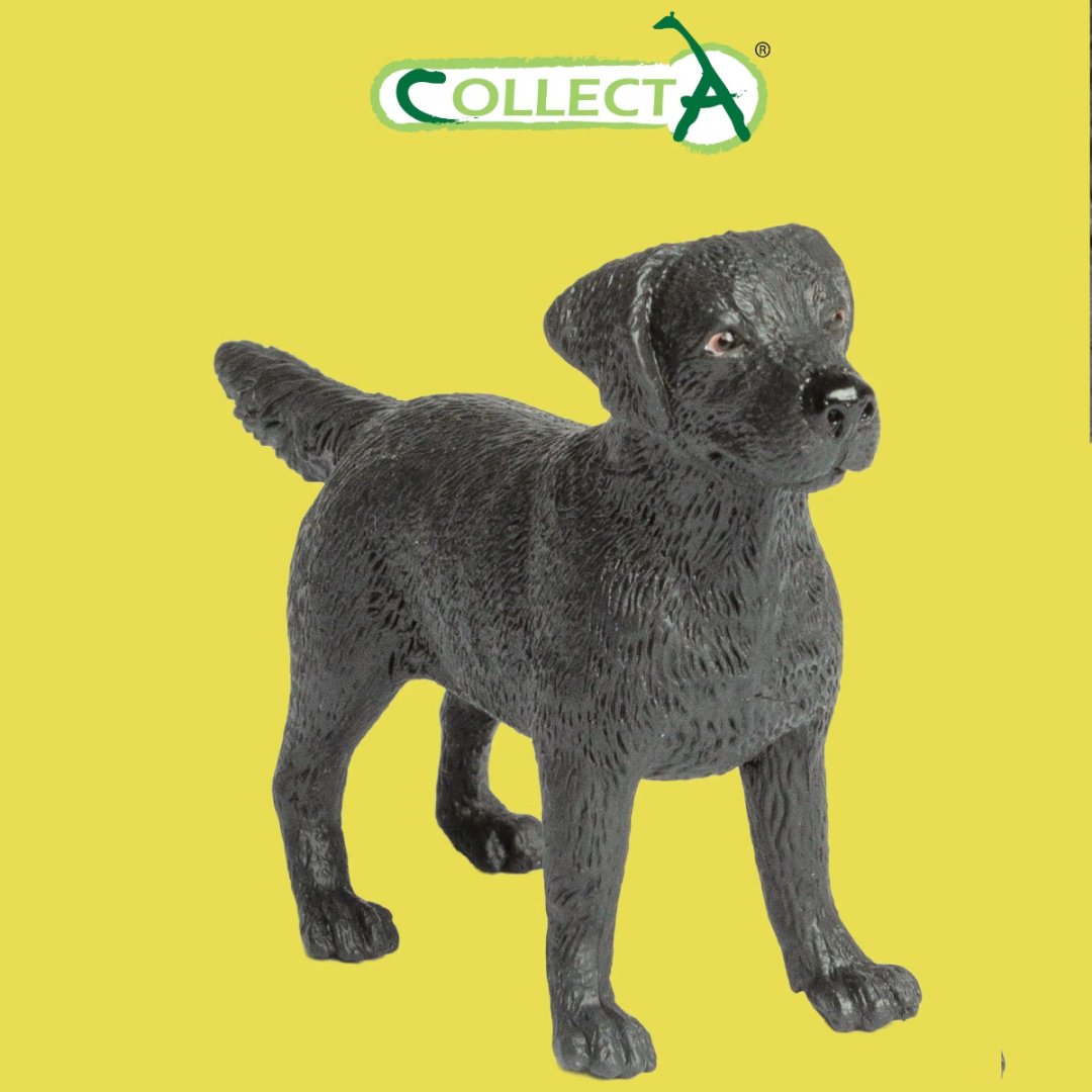 Collecta Лабрадор 6 см 1 шт купить,NaN