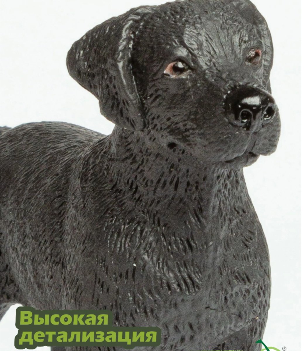 Collecta Лабрадор 6 см 1 шт купить,NaN
