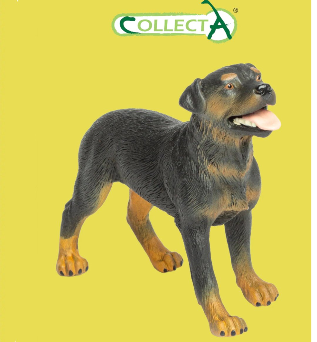 Collecta Ротвейлер 8.5 см 1 шт купить,NaN