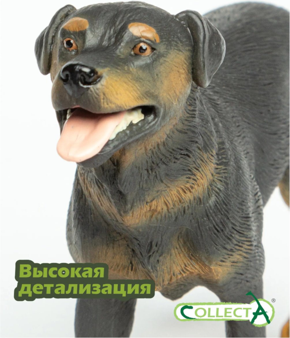 Collecta Ротвейлер 8.5 см 1 шт купить,NaN