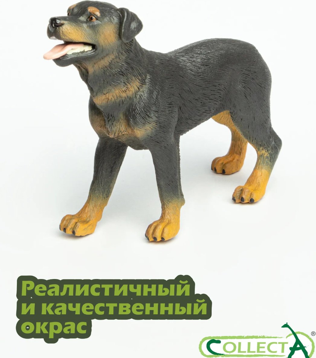 Collecta Ротвейлер 8.5 см 1 шт купить,NaN