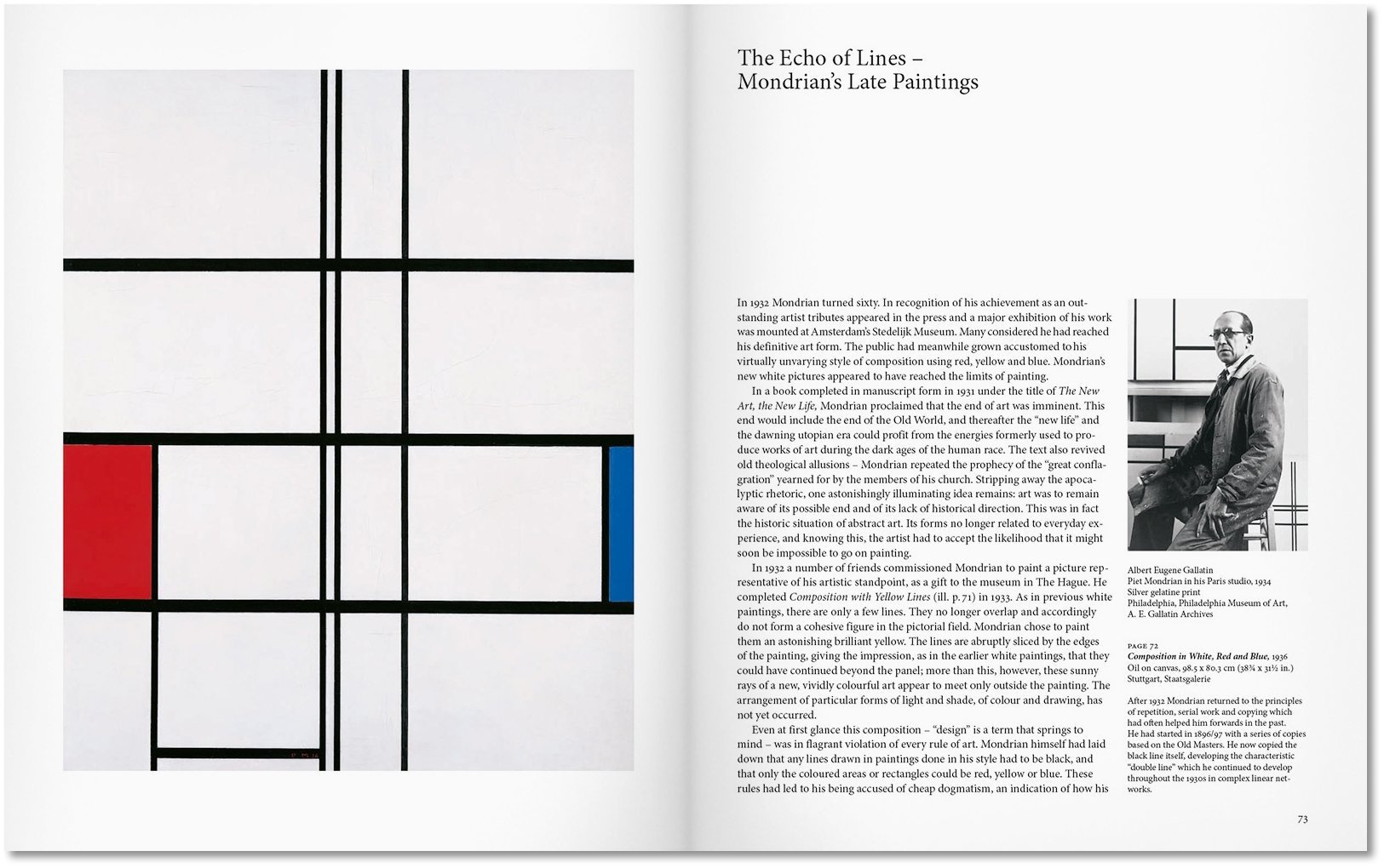Книга Дейхер С.: Mondrian купить,NaN