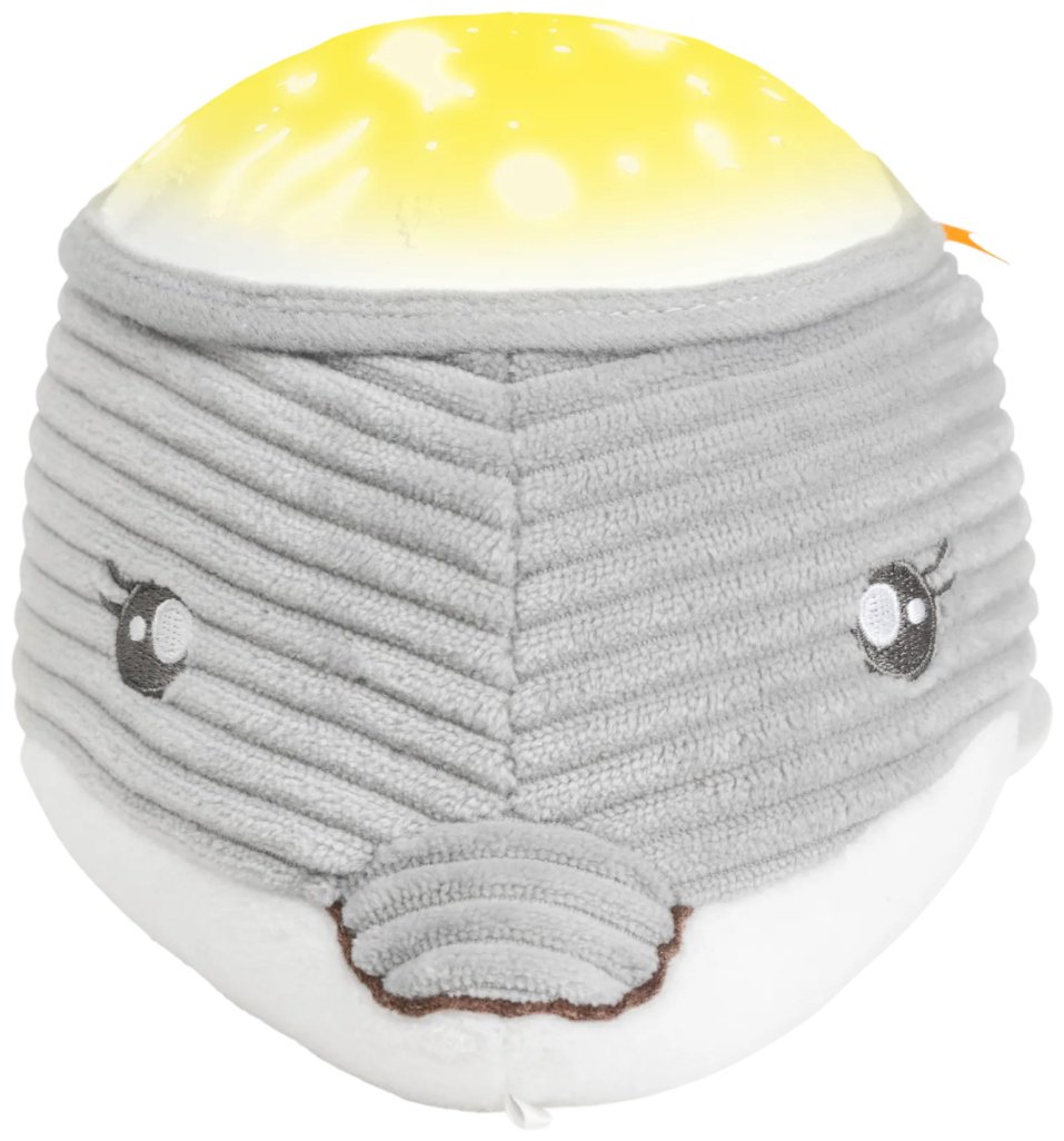 Интерактивная игрушка Chicco проектор "Дельфин" купить,NaN