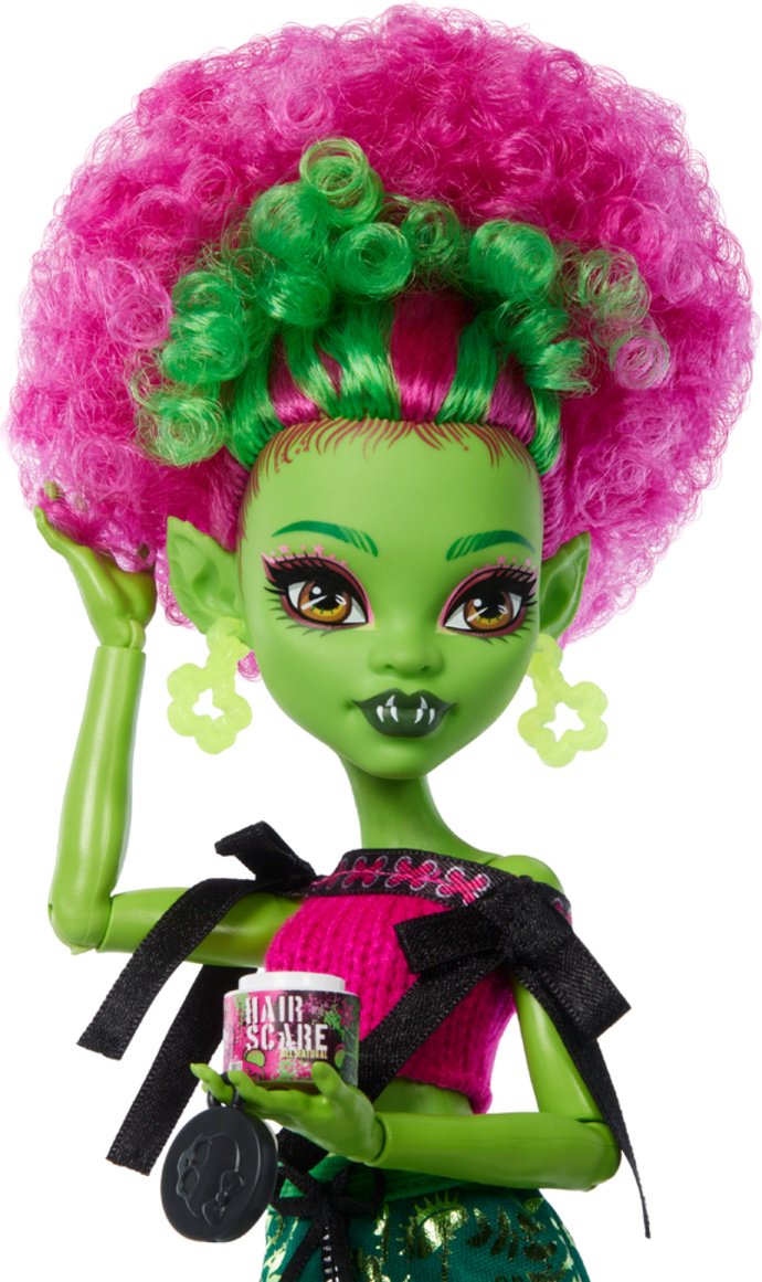 Кукла-модель Monster High Monster High 28 см купить,NaN