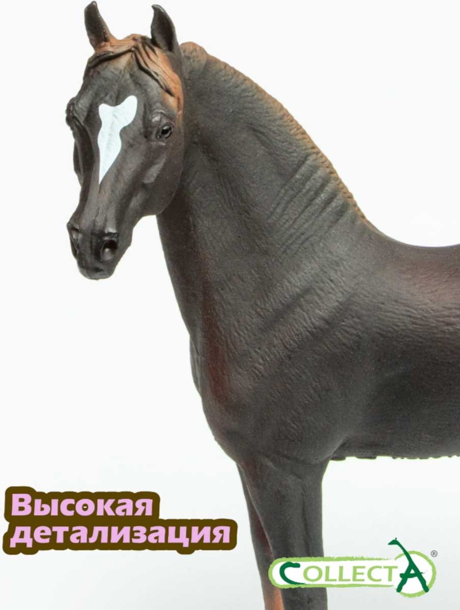 Collecta Жеребец Морган гнедой 12 см 1 шт купить,NaN