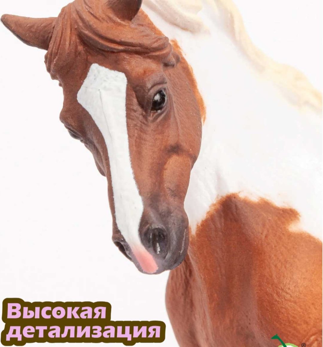 Collecta Чинкотигский пони 9.5 см 1 шт купить,NaN