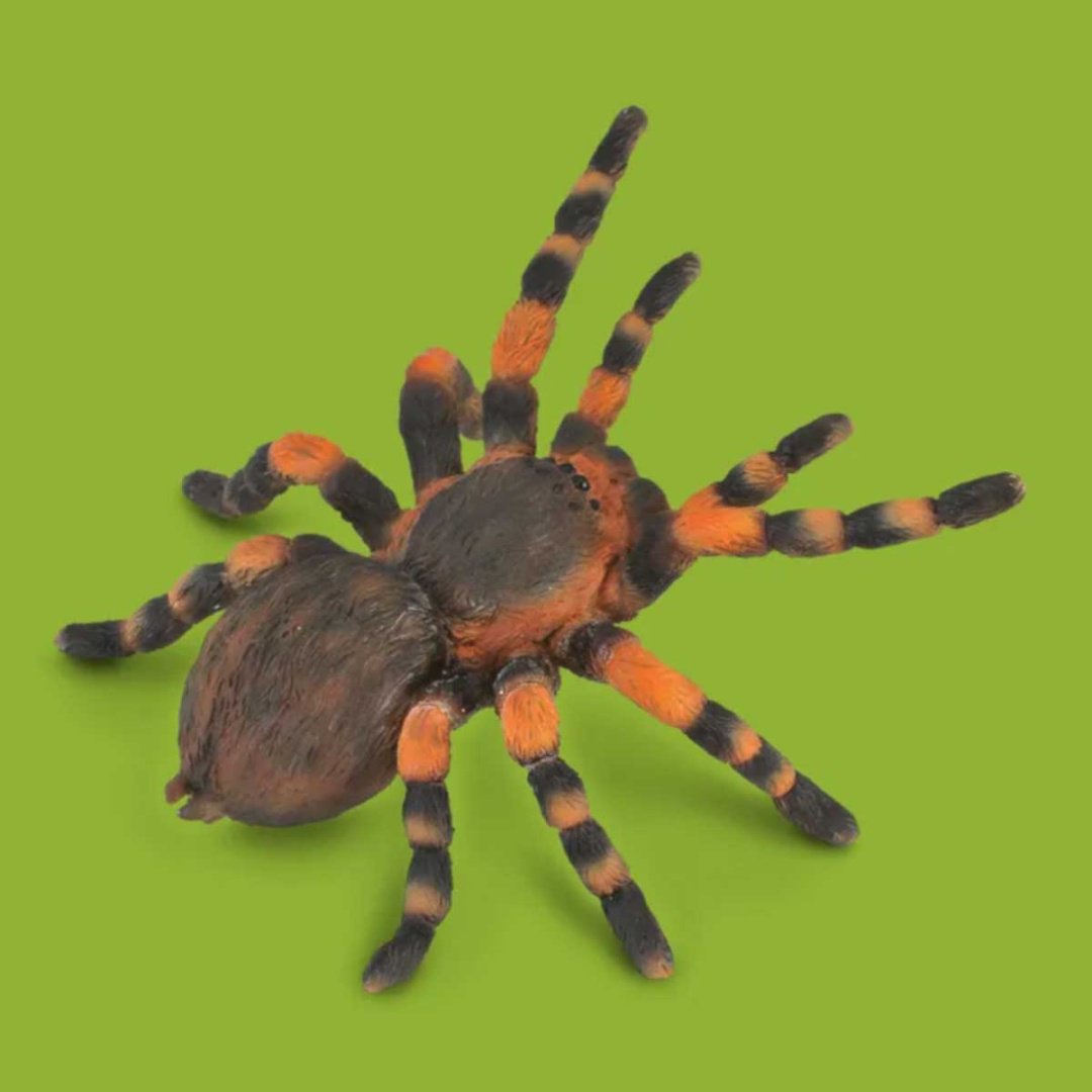 Collecta Мексиканский тарантул 2.9 см 1 шт купить,NaN