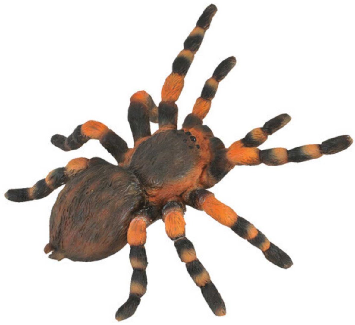 Collecta Мексиканский тарантул 2.9 см 1 шт купить,NaN