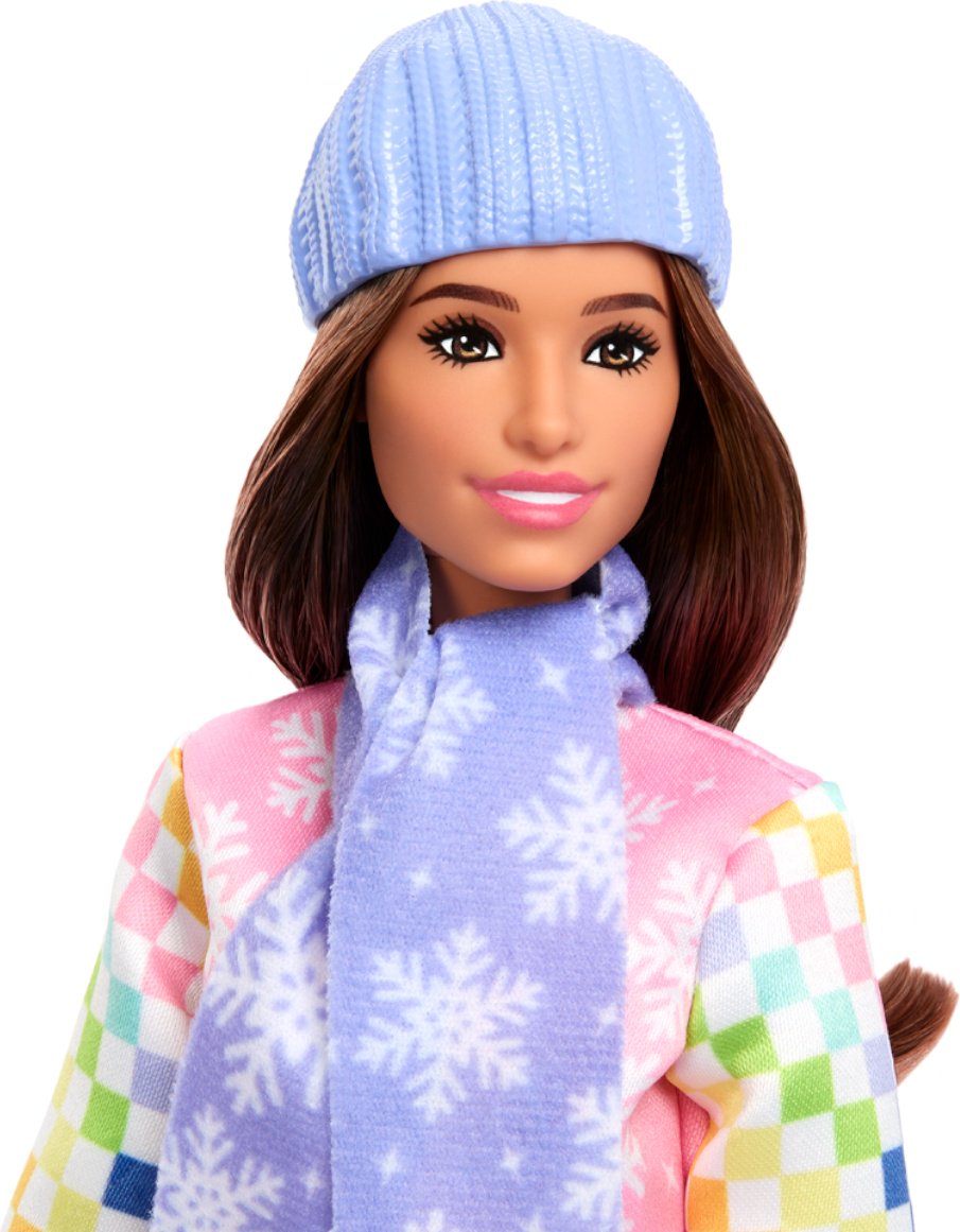 Кукла-модель Barbie Barbie Сноубордистка 29 см купить,NaN