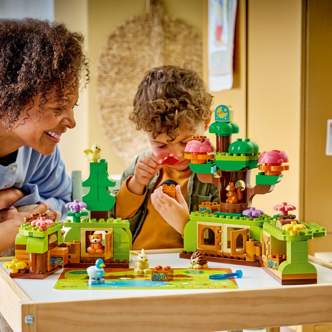Конструктор LEGO DUPLO 10480, деталей 131 шт купить,NaN