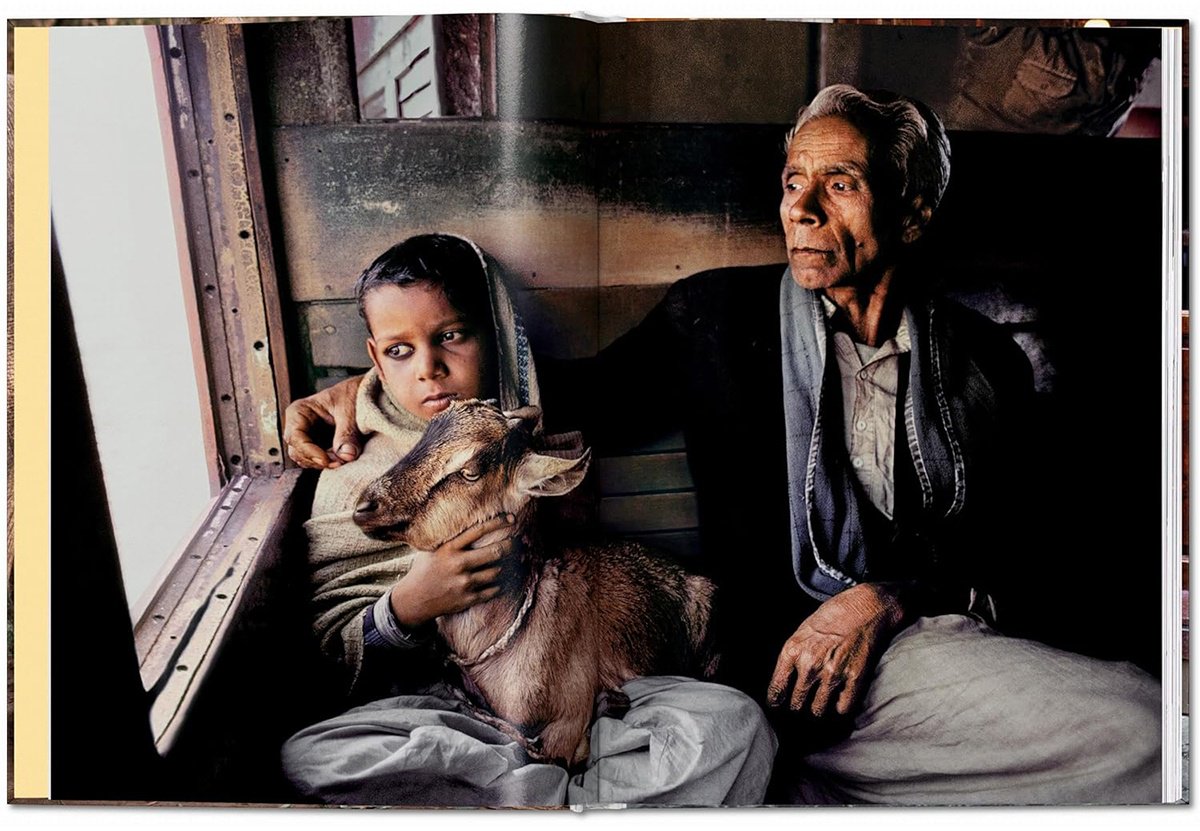 Книга Steve McCurry. Animals купить,NaN