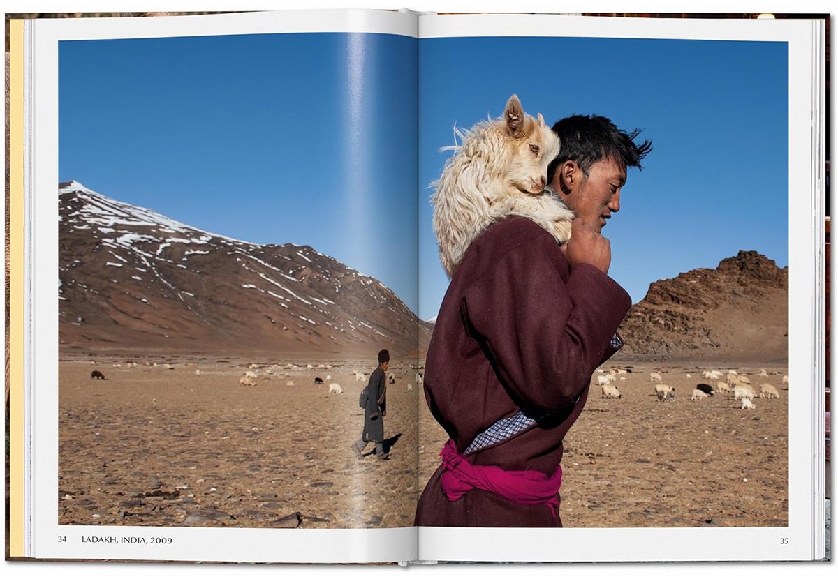 Книга Steve McCurry. Animals купить,NaN